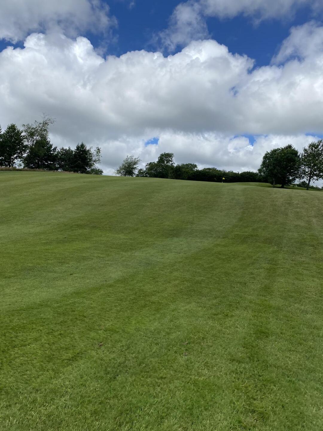 (Photo submitted by ryanwill3 on 07/07/2021)