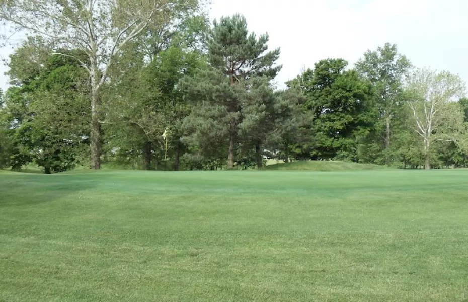 Meadow at North Branch GC: #8