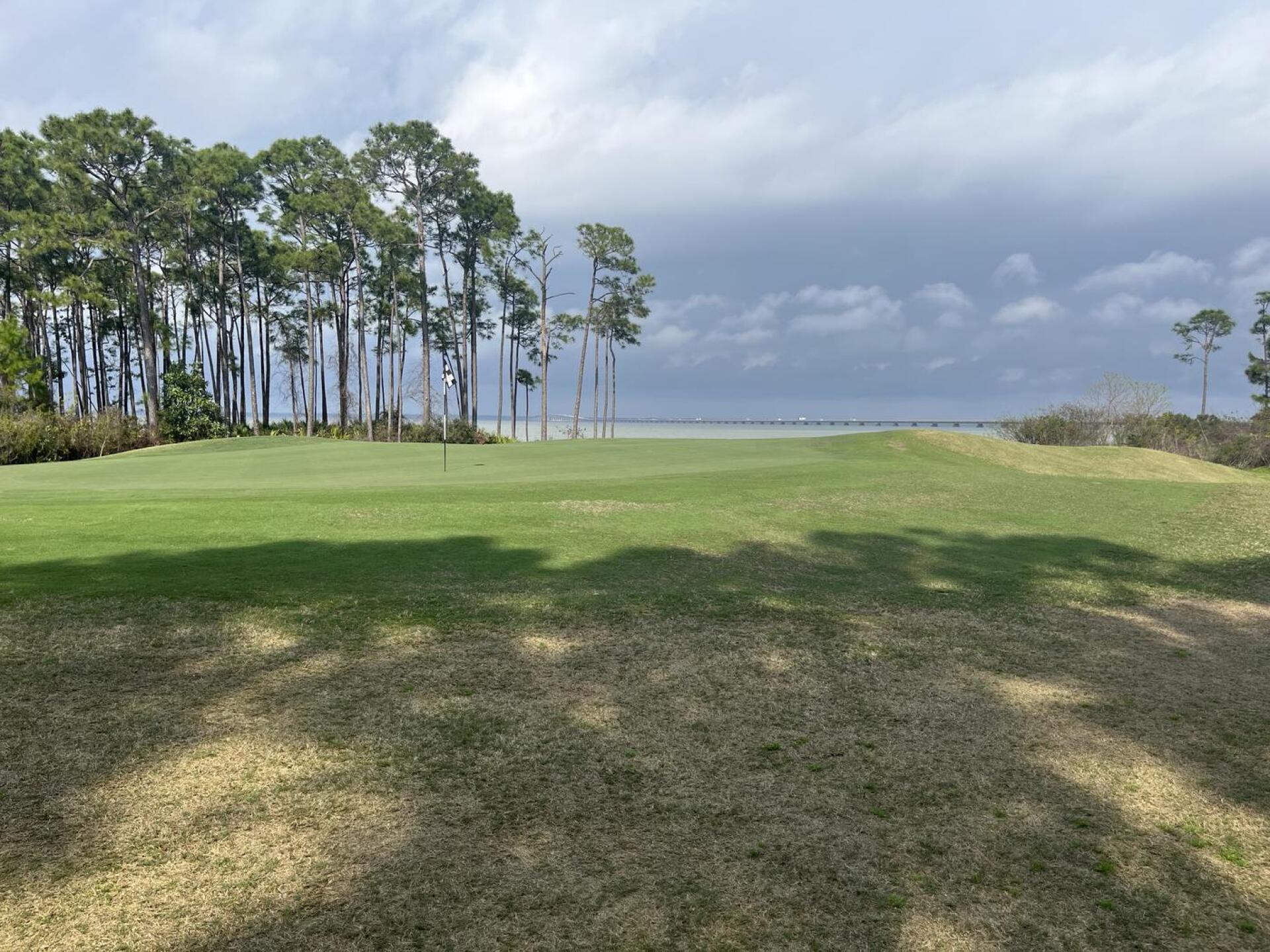 (Photo submitted by johntroy17 on 03/06/2023)