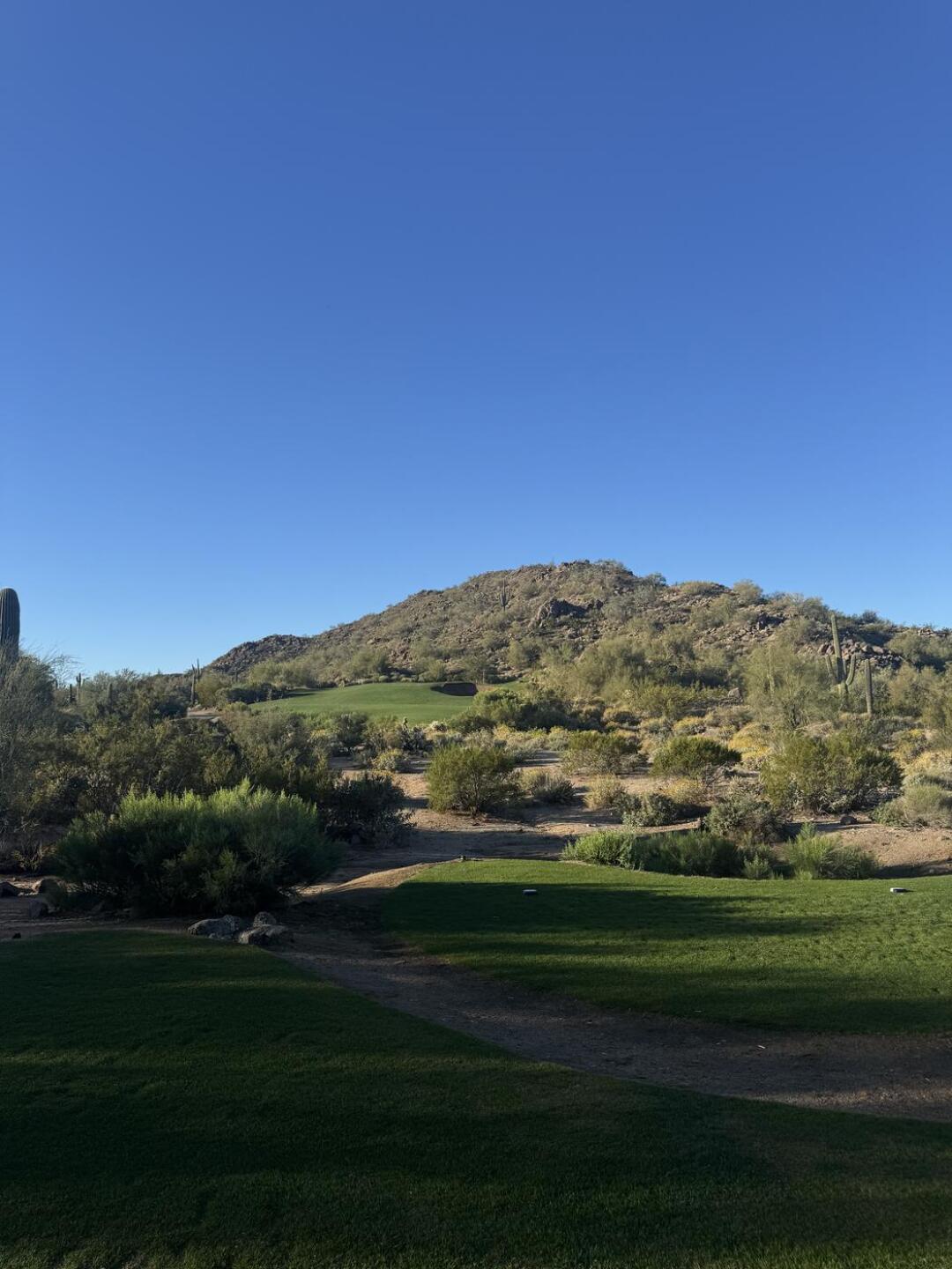 (Photo submitted by AppleID1378 on 02/14/2026)