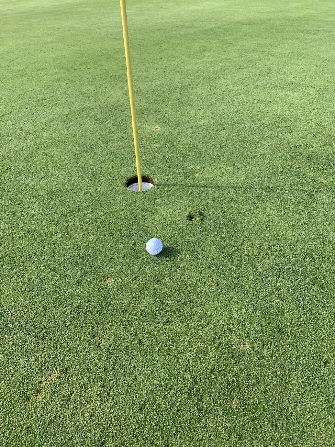 Eagle on hole #5 upper course (Photo submitted by joeynsons on 10/23/2021)