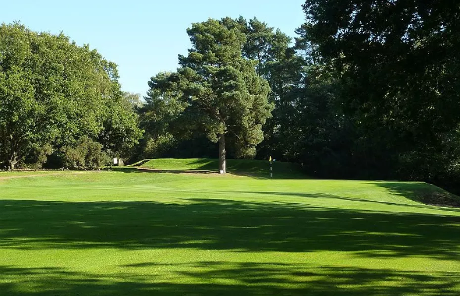 Puttenham GC: #5