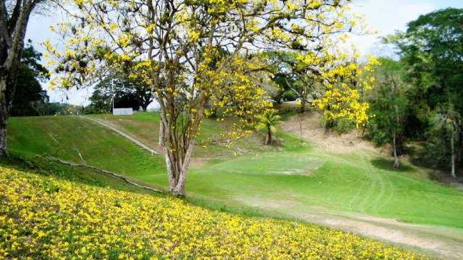 Petrotrin Pointe-a-Pierre GC