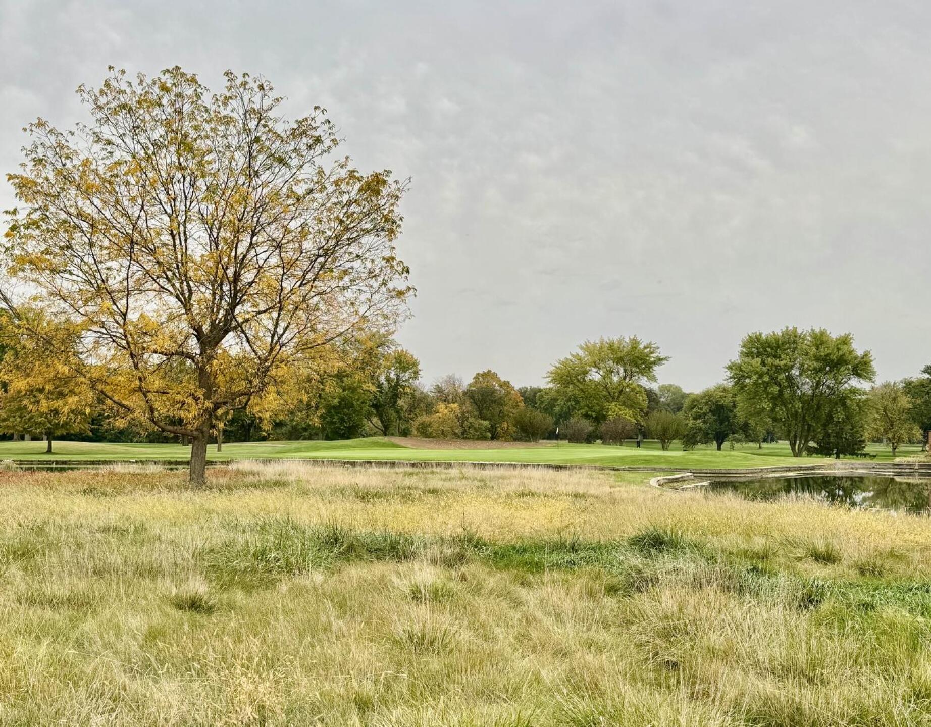 (Photo submitted by u314160684456 on 11/11/2025)