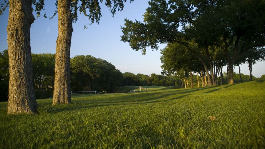 Oak Hollow GC: #8