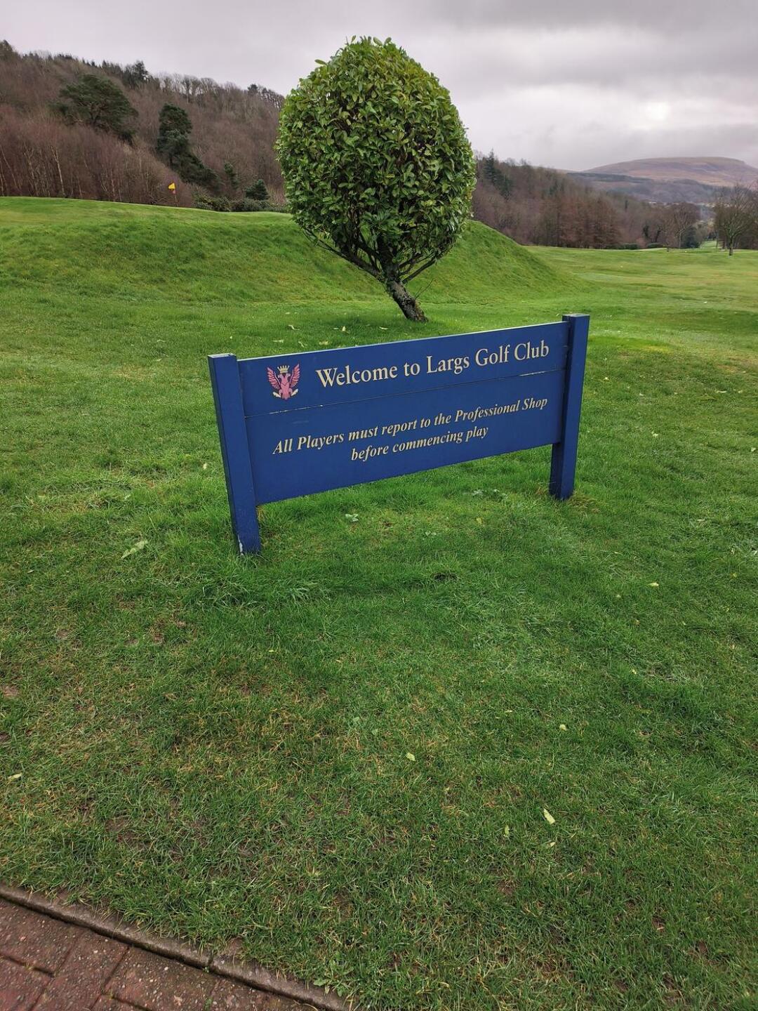 Starting (Photo submitted by RG24371D0B50636B289C on 02/20/2023)