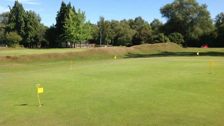 The putting green at New Forest