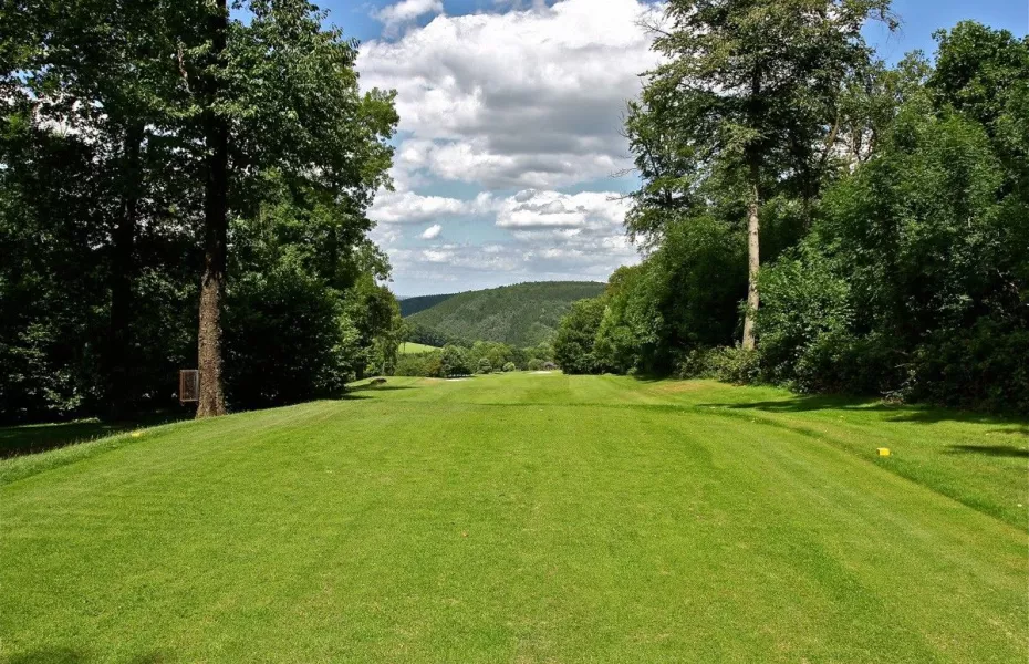 International Gomze GC: #3