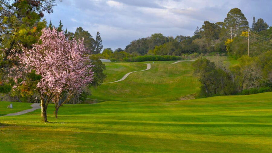 Healdsburg GC at Tayman Park