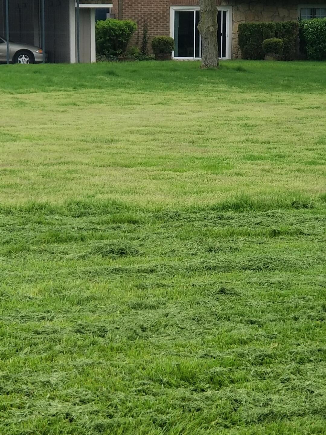 The "fairway" on hole #1 par 4. (Photo submitted by Austin9095989 on 05/08/2019)