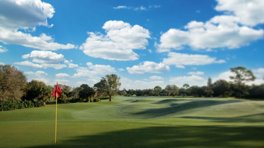 The Gold at Mariner Sands CC: #5
