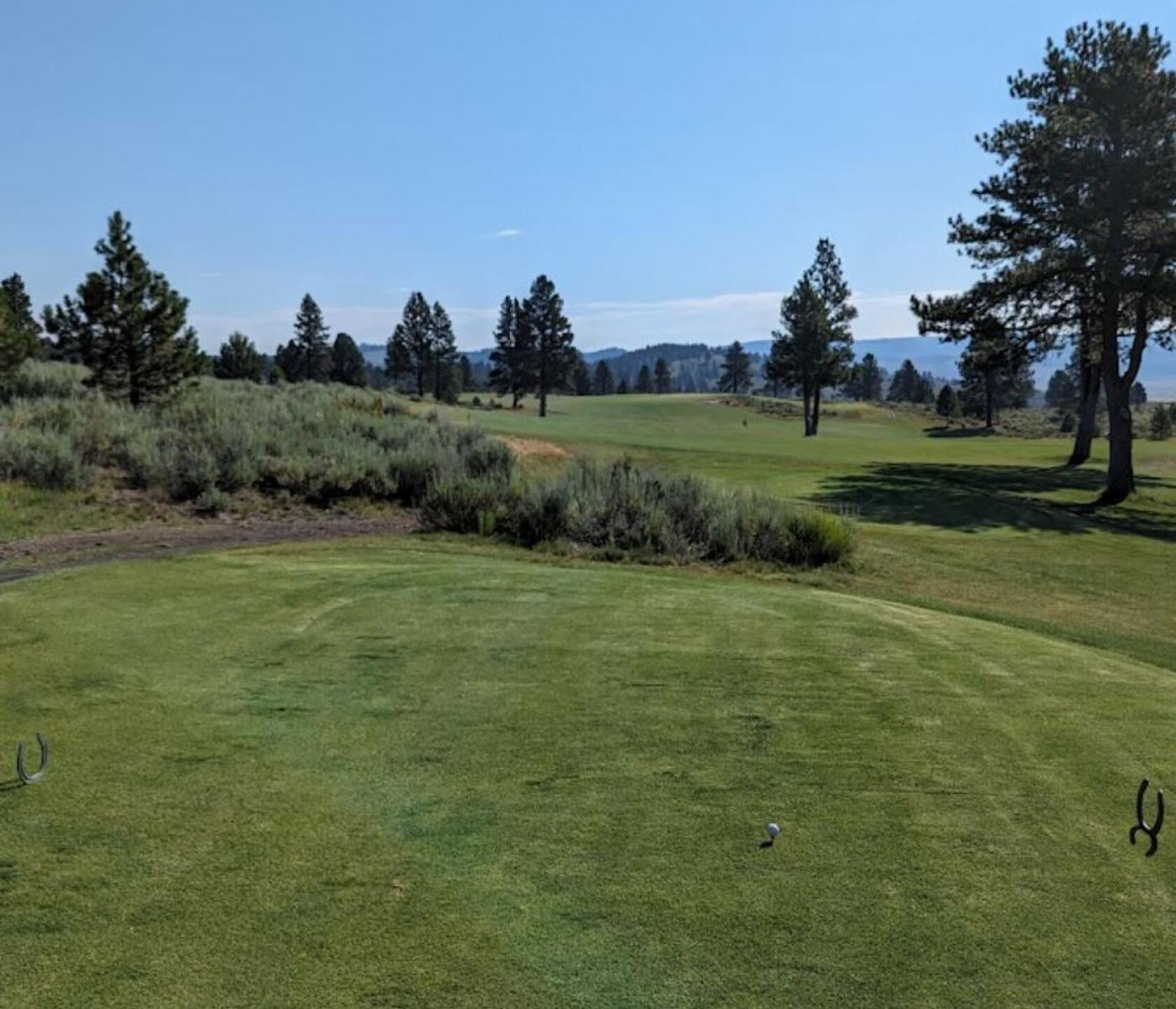 (Photo submitted by sorenj on 07/28/2023)