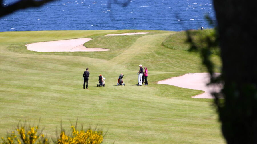 Samsoe GC
