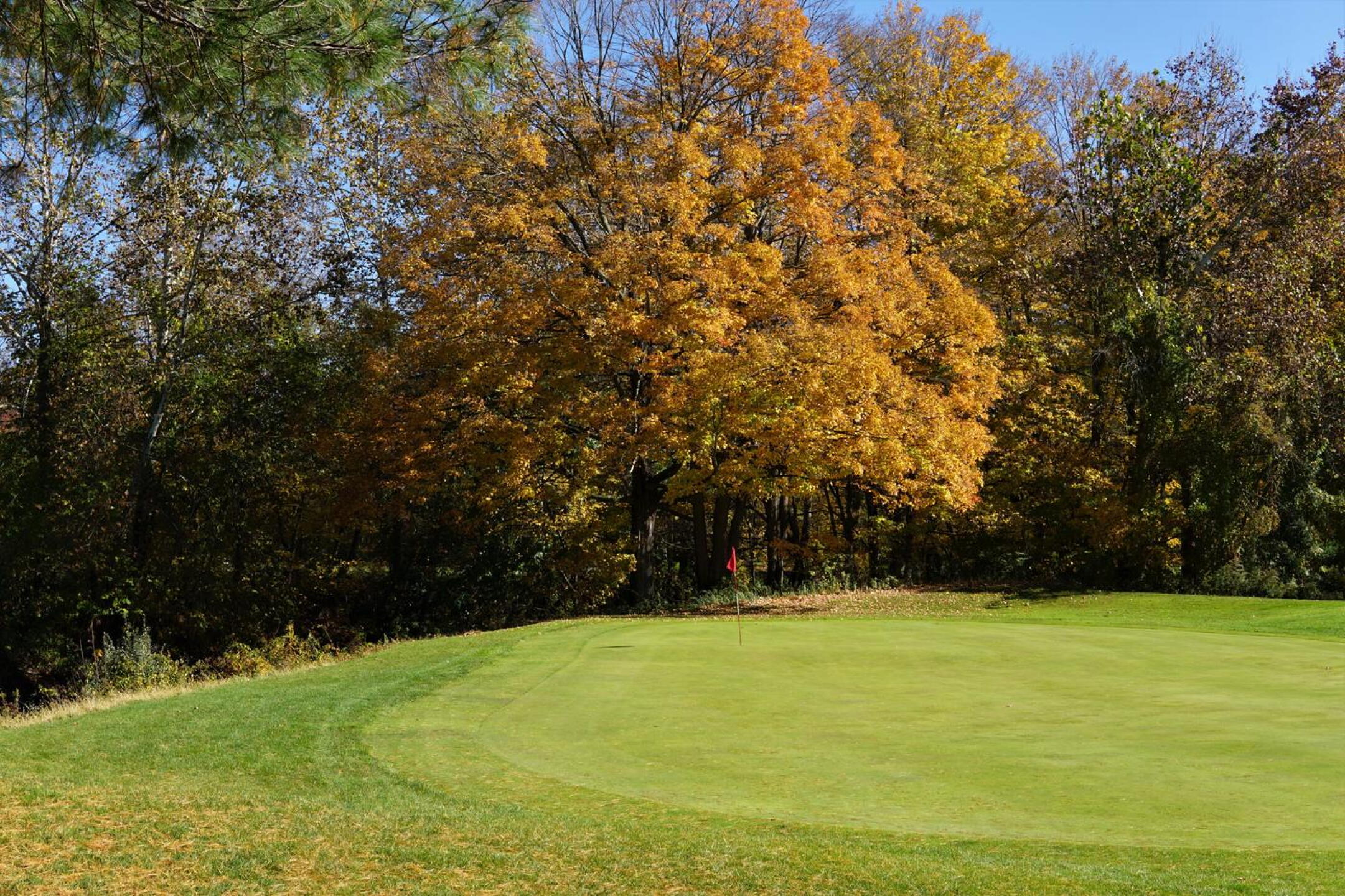 The ninth green. (Photo submitted by AptlyLinked on 10/23/2022)
