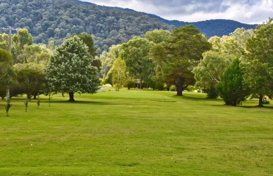 Myrtleford GC: #1