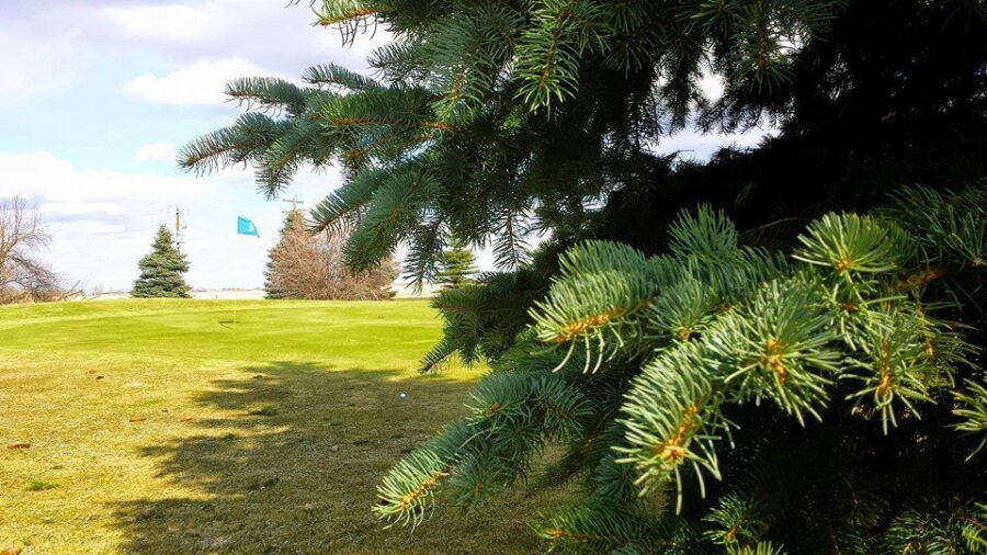 Rolling Hills GCC