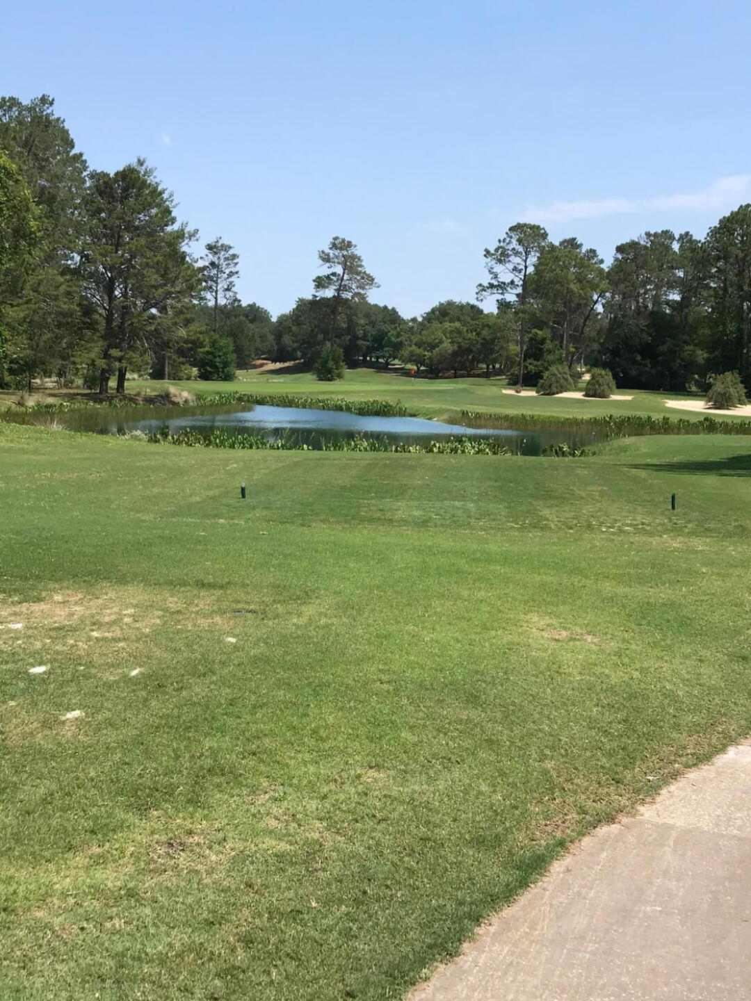 (Photo submitted by Nomie4544517 on 04/19/2020)