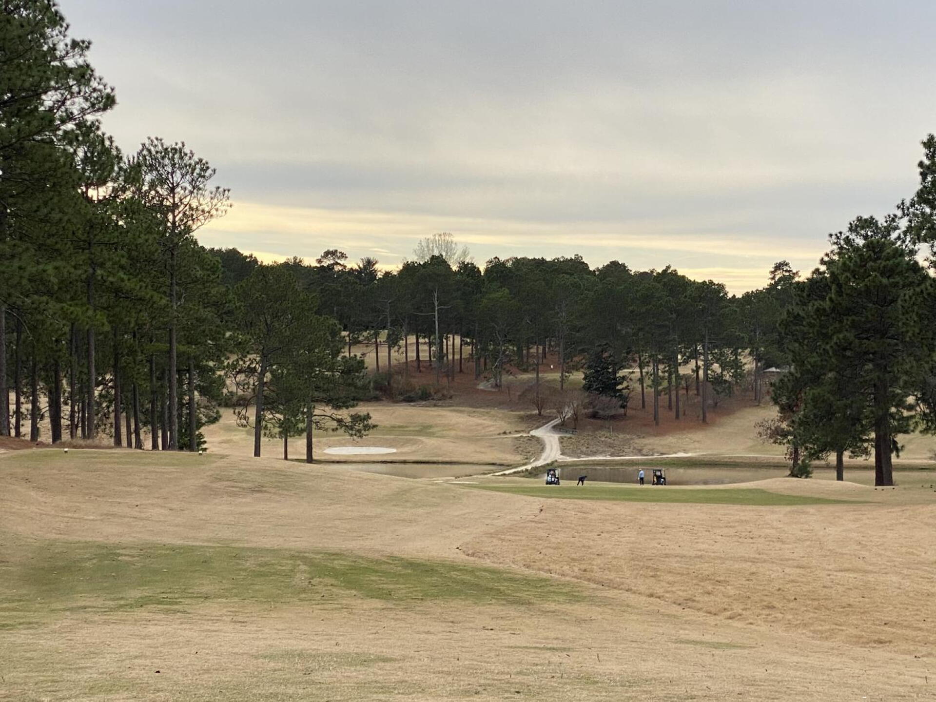 Downhill par 4 (Photo submitted by u000008123232 on 12/11/2022)
