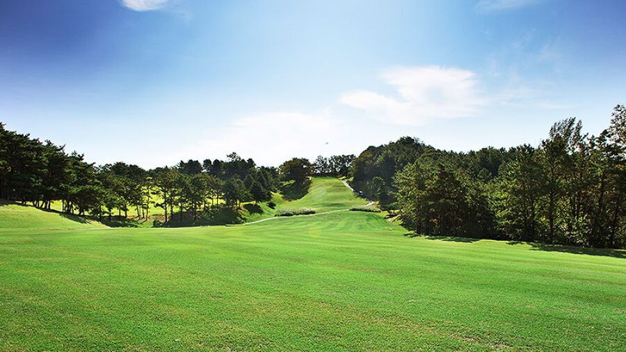 Plaza CC - Tiger: #1