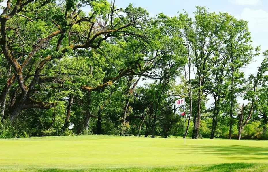 Golf de Montauban L'Estang: #18