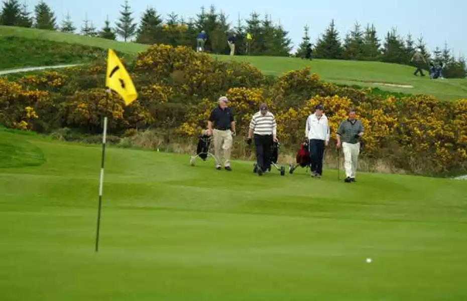 Skibbereen & West Carbery GC: #14