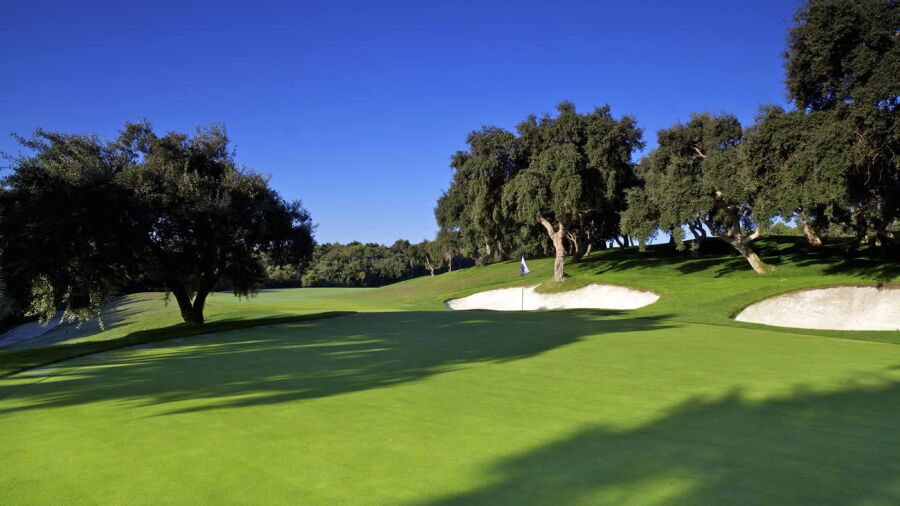 Valderrama: #5