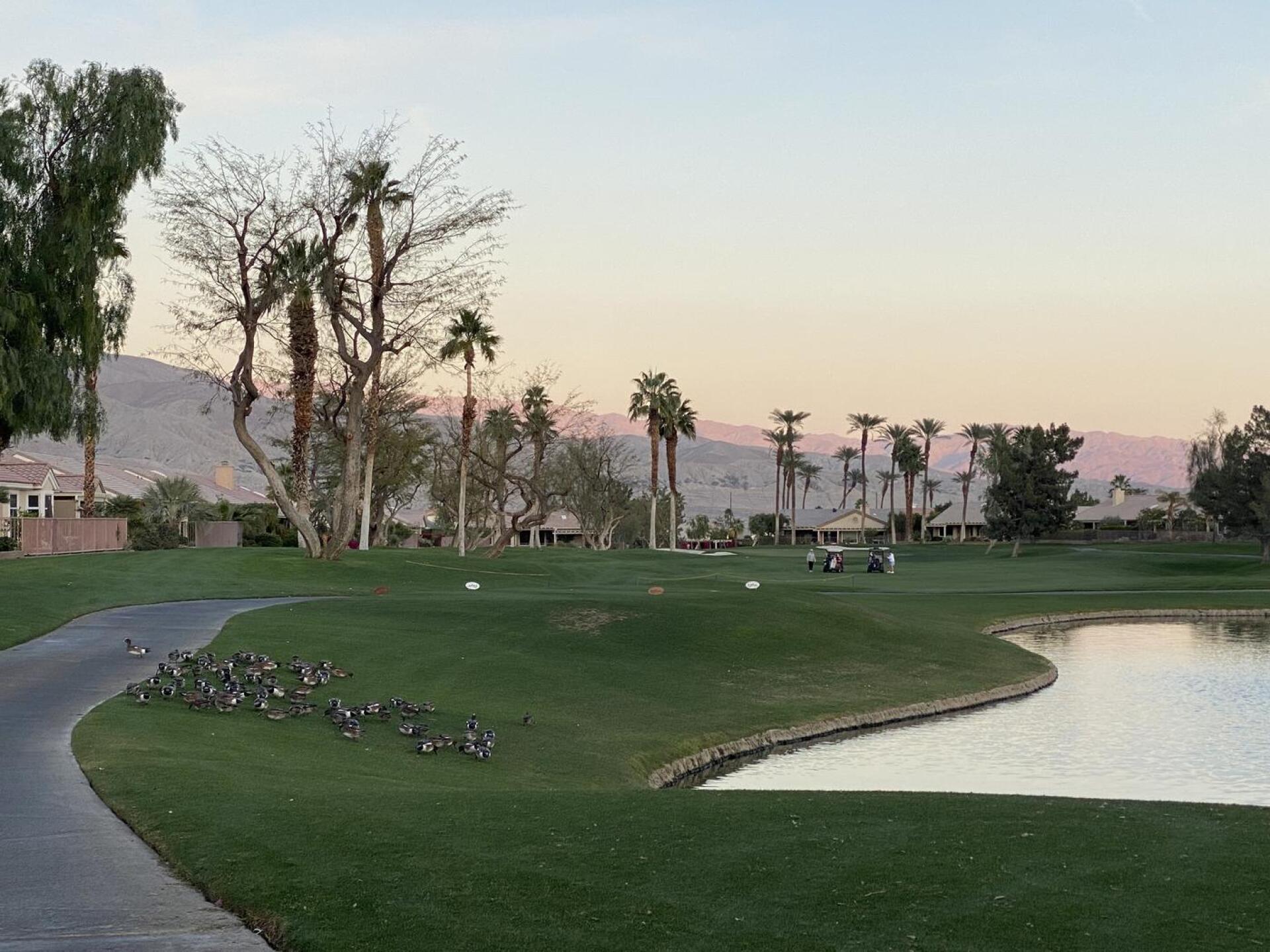 (Photo submitted by 44julmal on 02/14/2023)