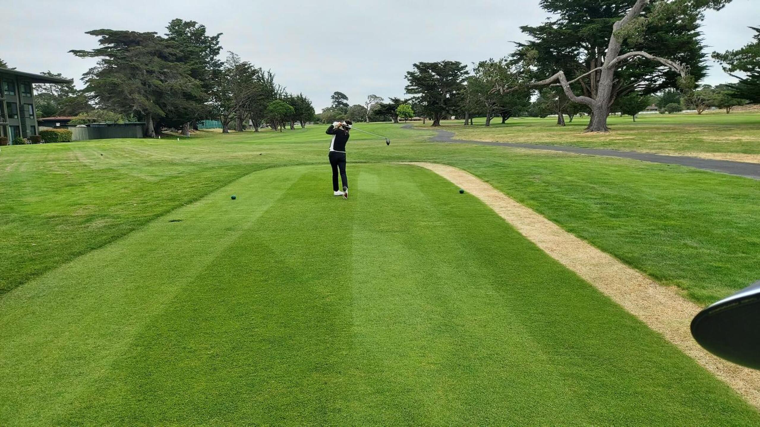 (Photo submitted by mckim111 on 06/17/2023)