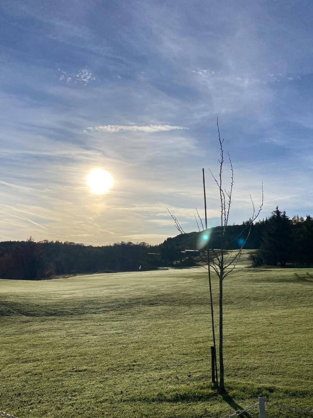 (Photo submitted by u314159608436 on 10/30/2024)