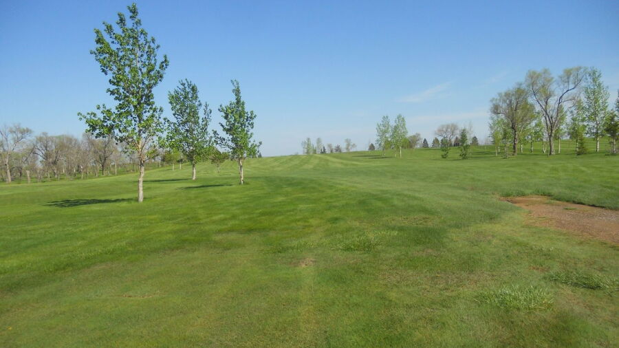 Mott CC: #4