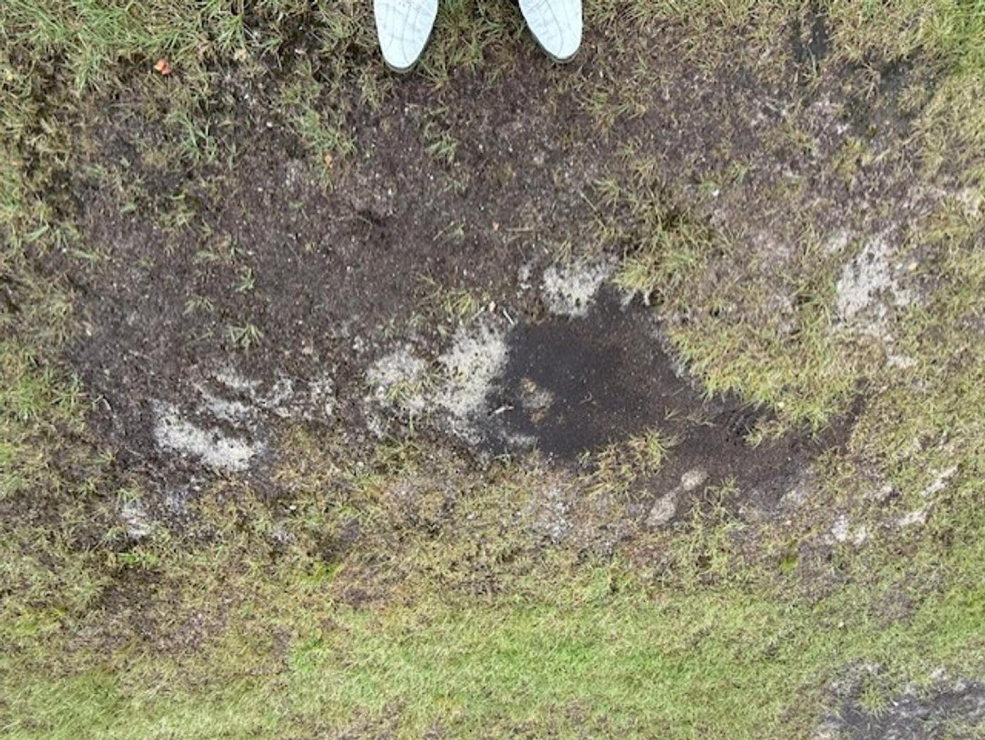 (Photo submitted by TonyFour on 08/10/2025)