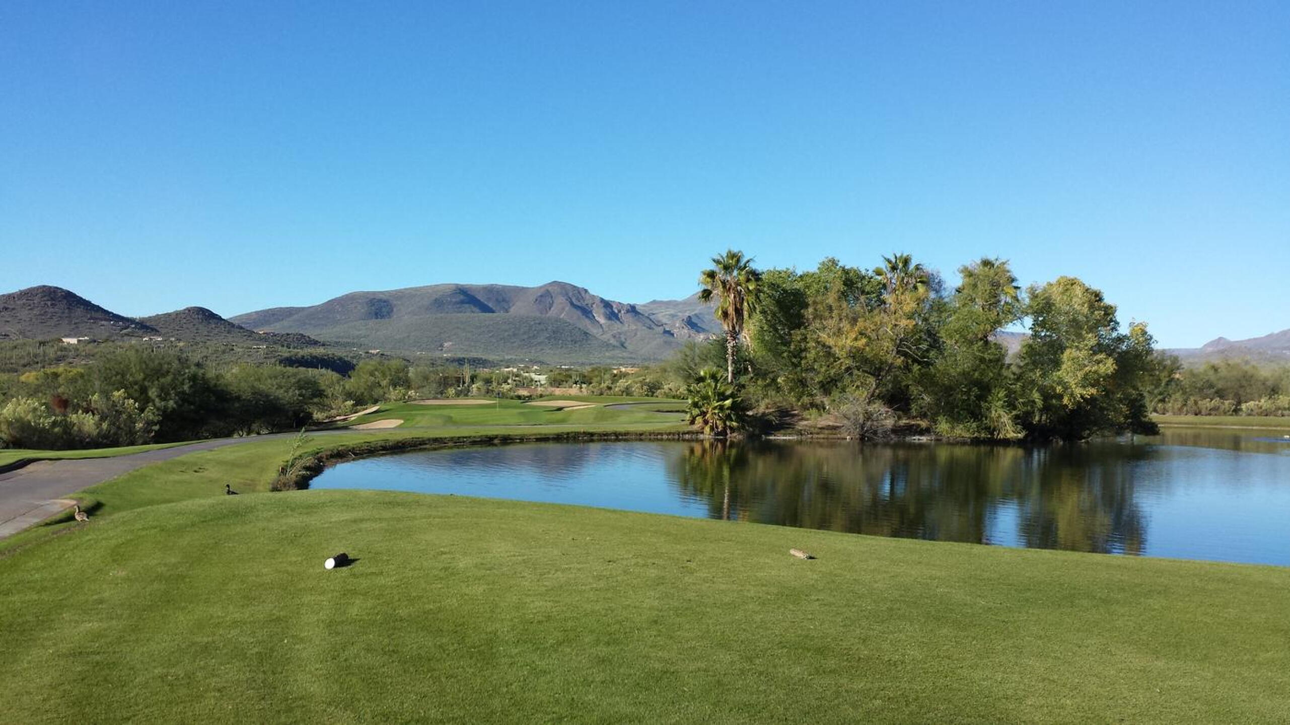 (Photo submitted by GolfLeo on 11/25/2015)