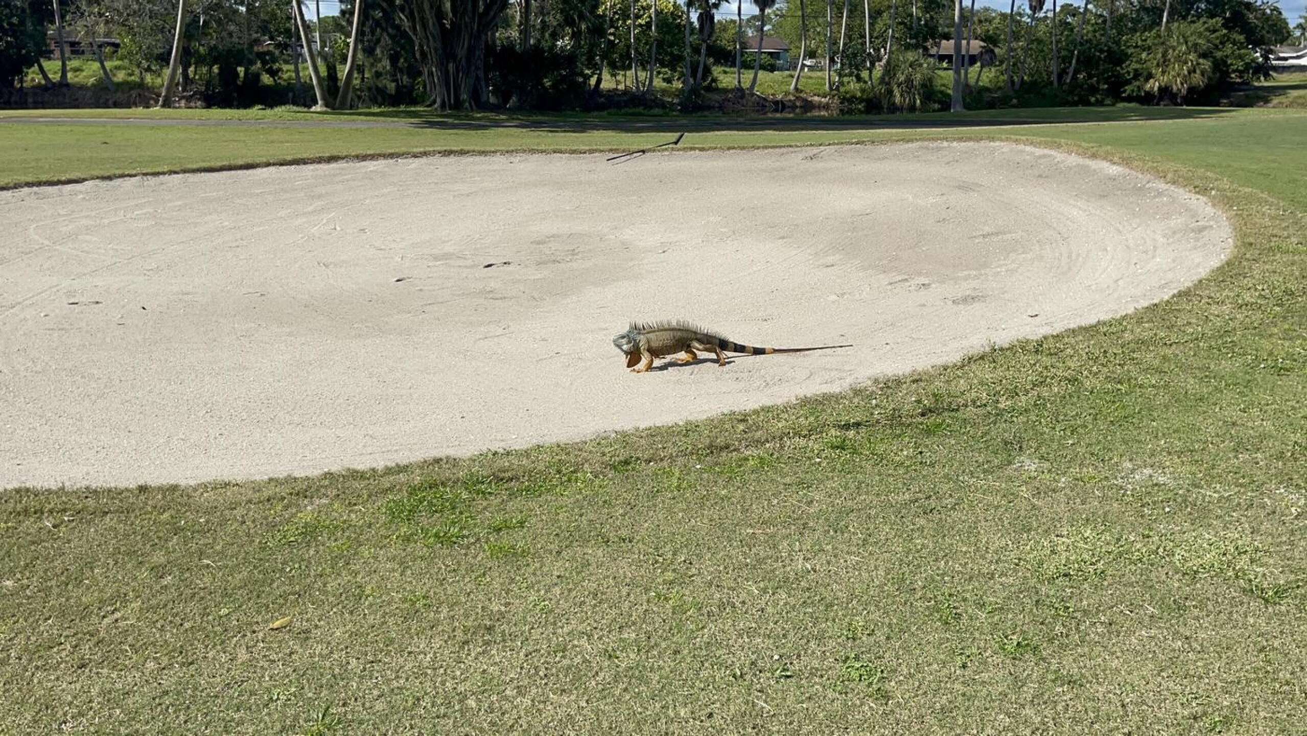 Nice bunkers 😳 (Photo submitted by u2073392 on 01/02/2023)