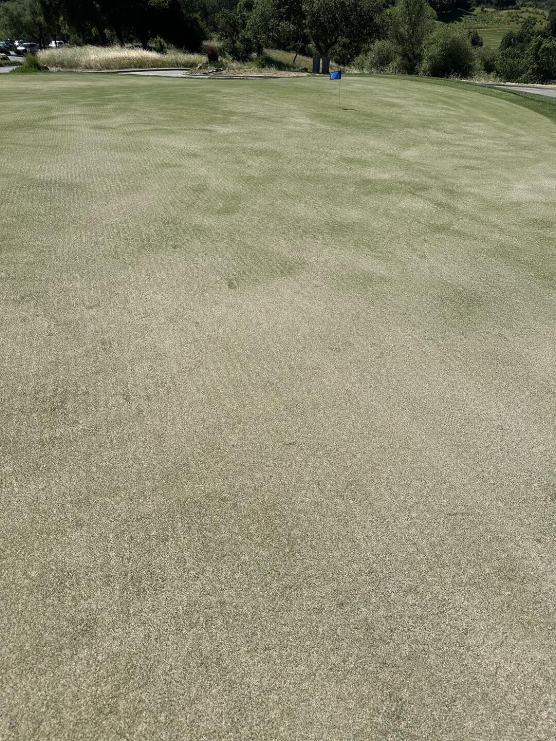 (Photo submitted by johnhko on 04/03/2026)