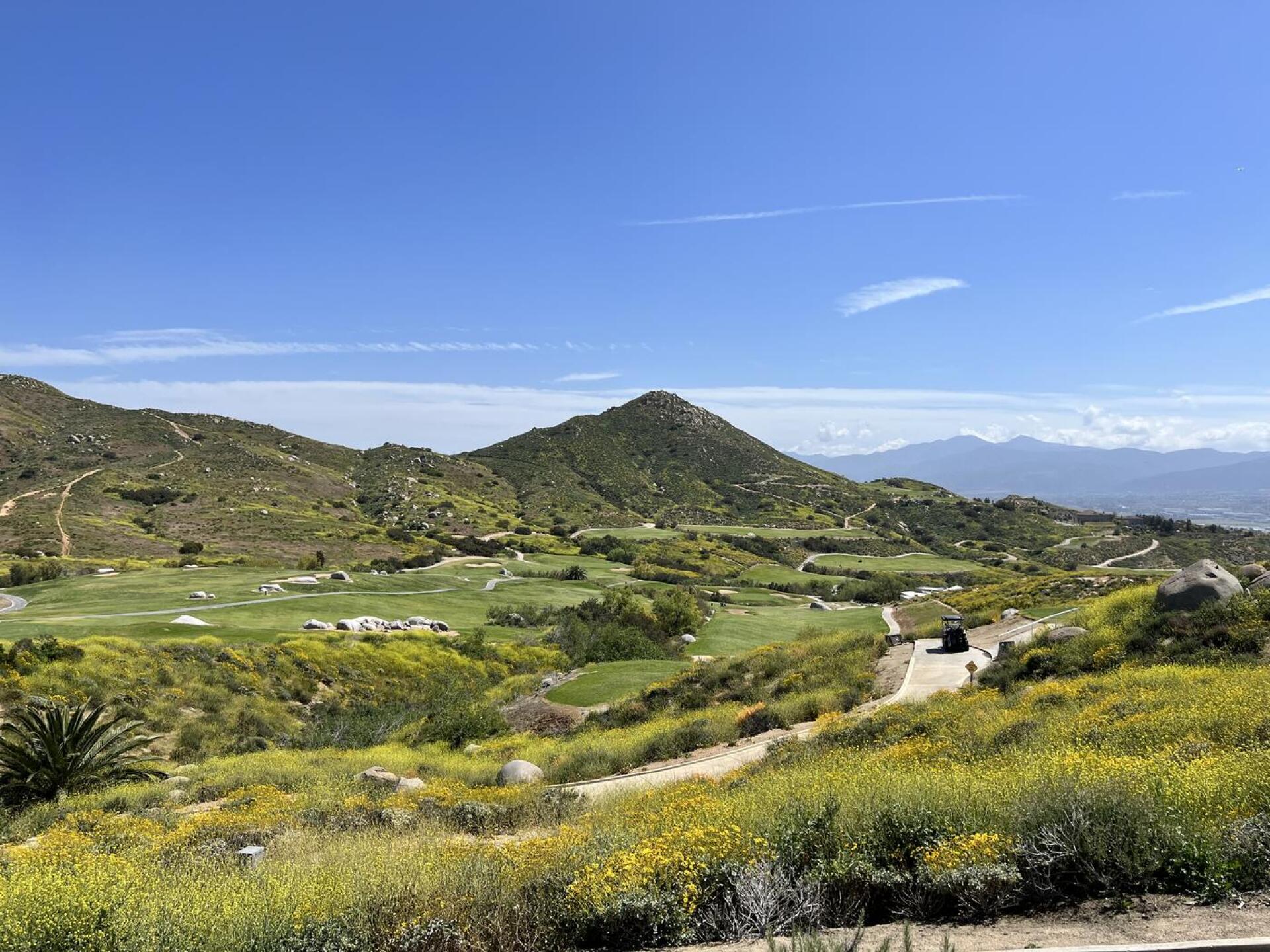 (Photo submitted by u000001101711 on 05/01/2023)