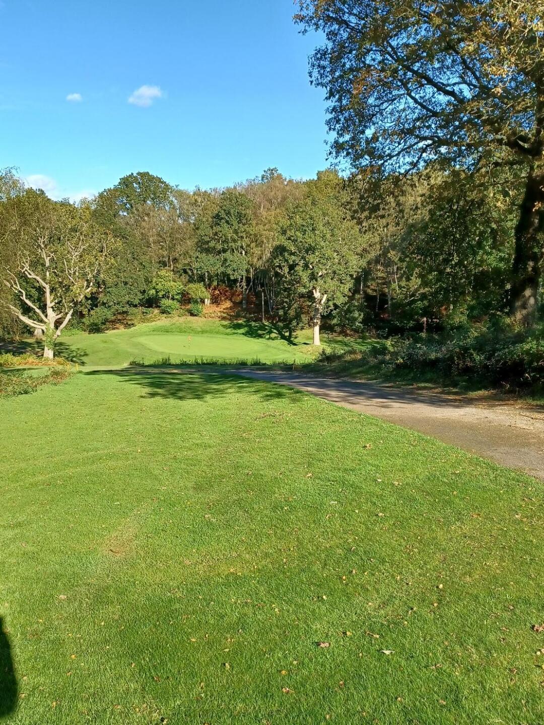 (Photo submitted by PatrickClarke1957 on 10/22/2021)