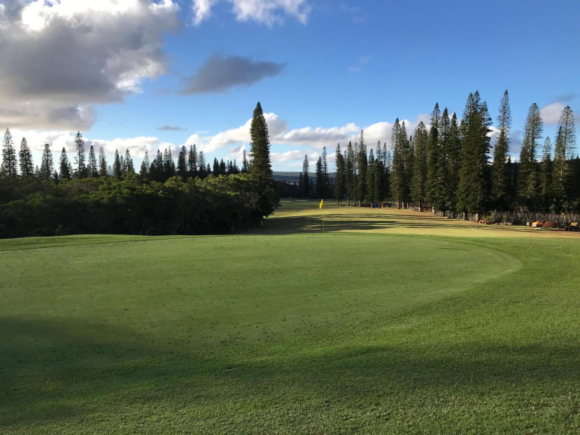 (Photo submitted by JasonDeeganGA on 12/13/2019)