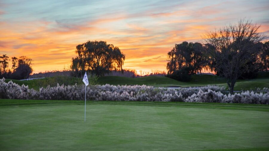 The Rookery South: #6
