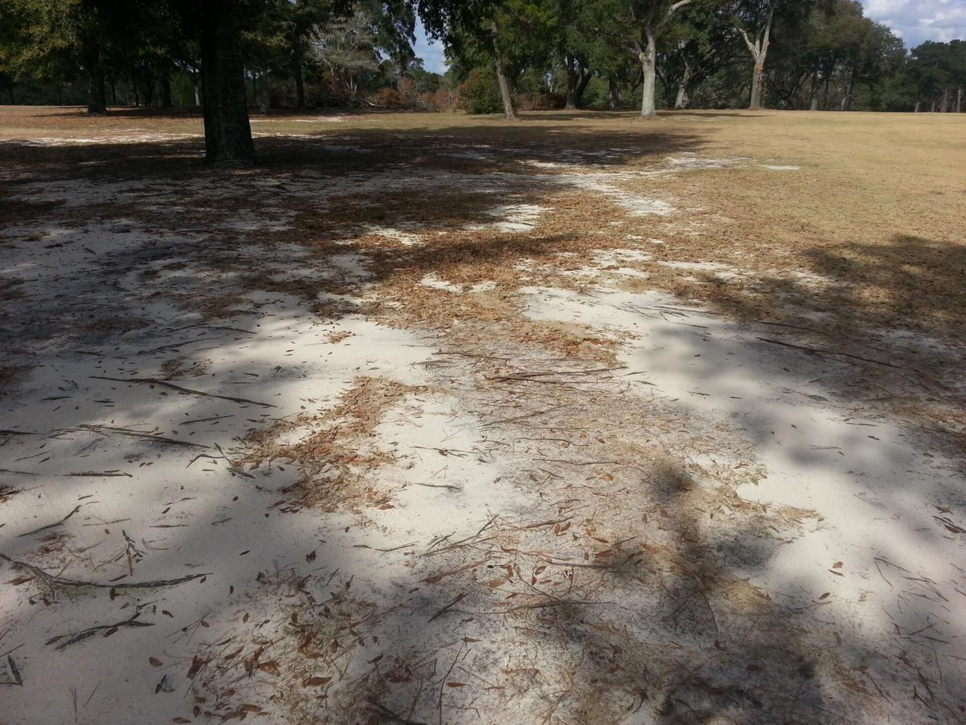 (Photo submitted by youraway2 on 09/04/2017)