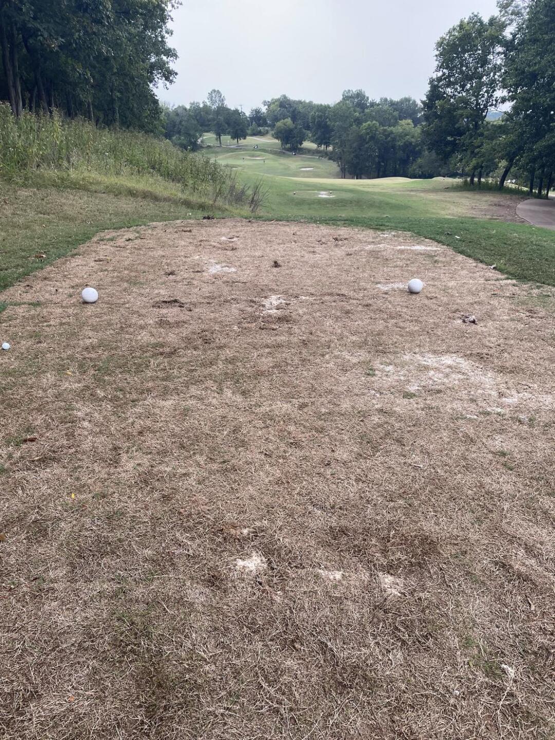 Silver/white tee box on 17 (Photo submitted by Nick7758360 on 09/17/2023)
