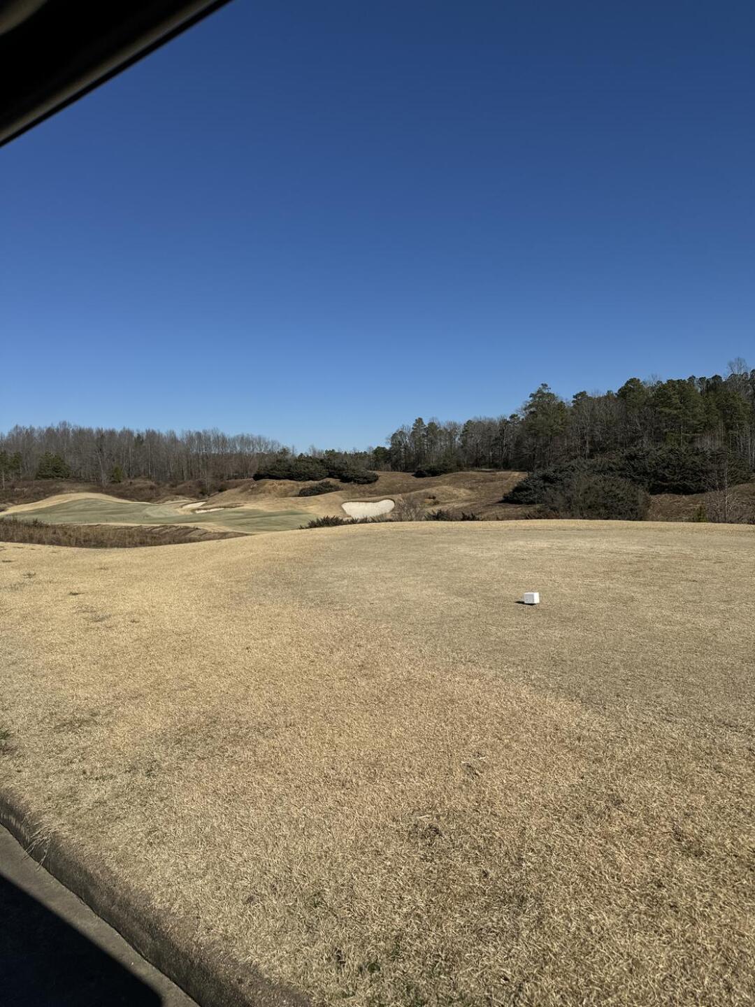 (Photo submitted by Rjpatel3829 on 02/07/2024)