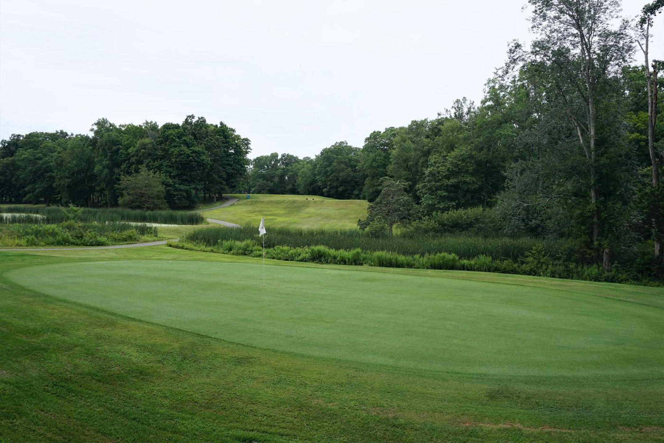 15th, par-3 of 147. Downhill from a high tee, over the marsh, onto this raised green. (Photo submitted by AptlyLinked on 08/04/2021)