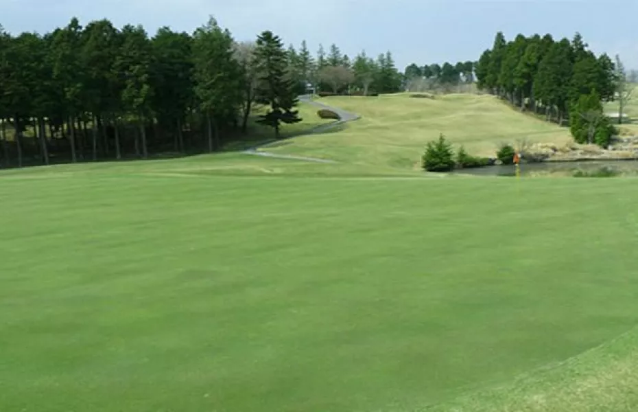 Pete Dye GC - Royal: #12