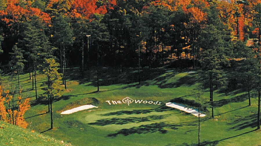 The Woods Resort - Stony Lick