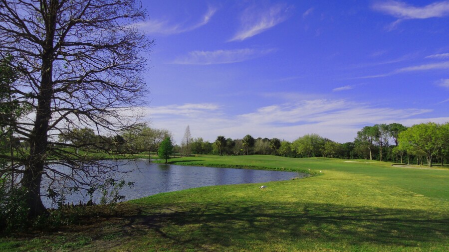 Mangrove Bay Golf Course - No. 7