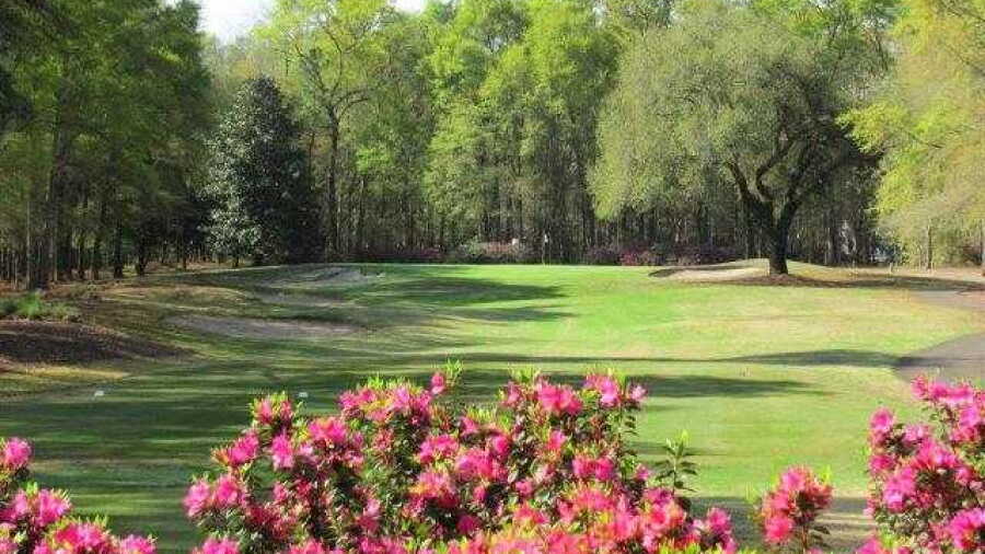 Wachesaw Plantation Club: #13