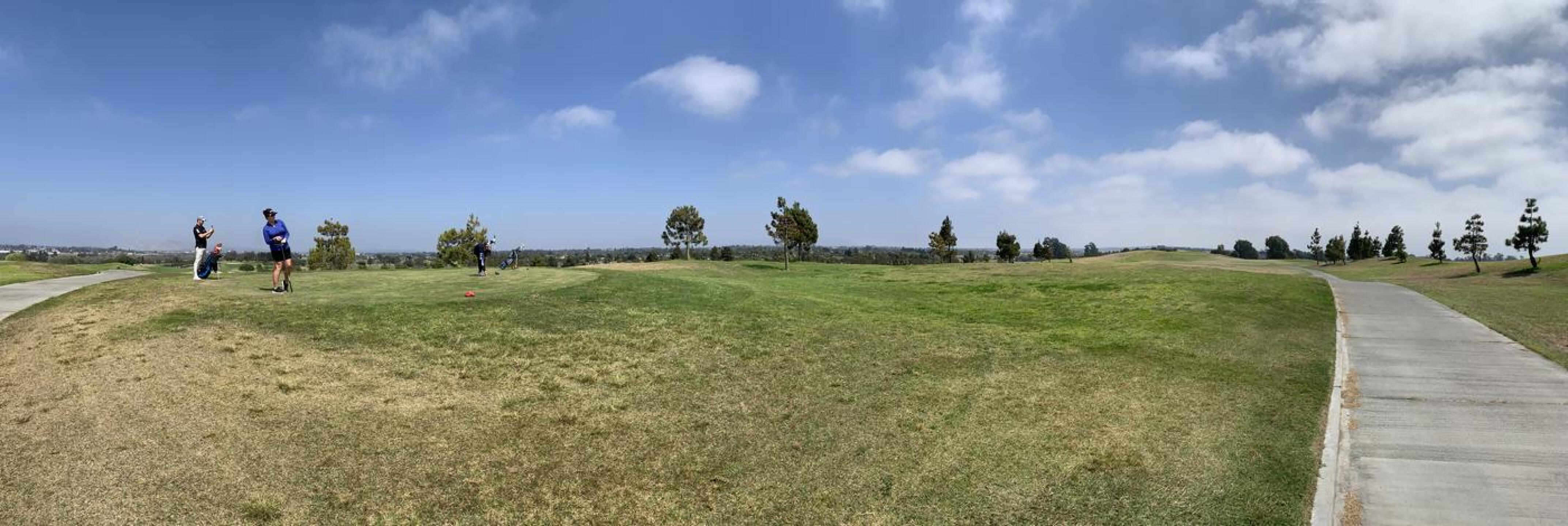 Picture perfect (Photo submitted by cdarby66 on 08/08/2021)