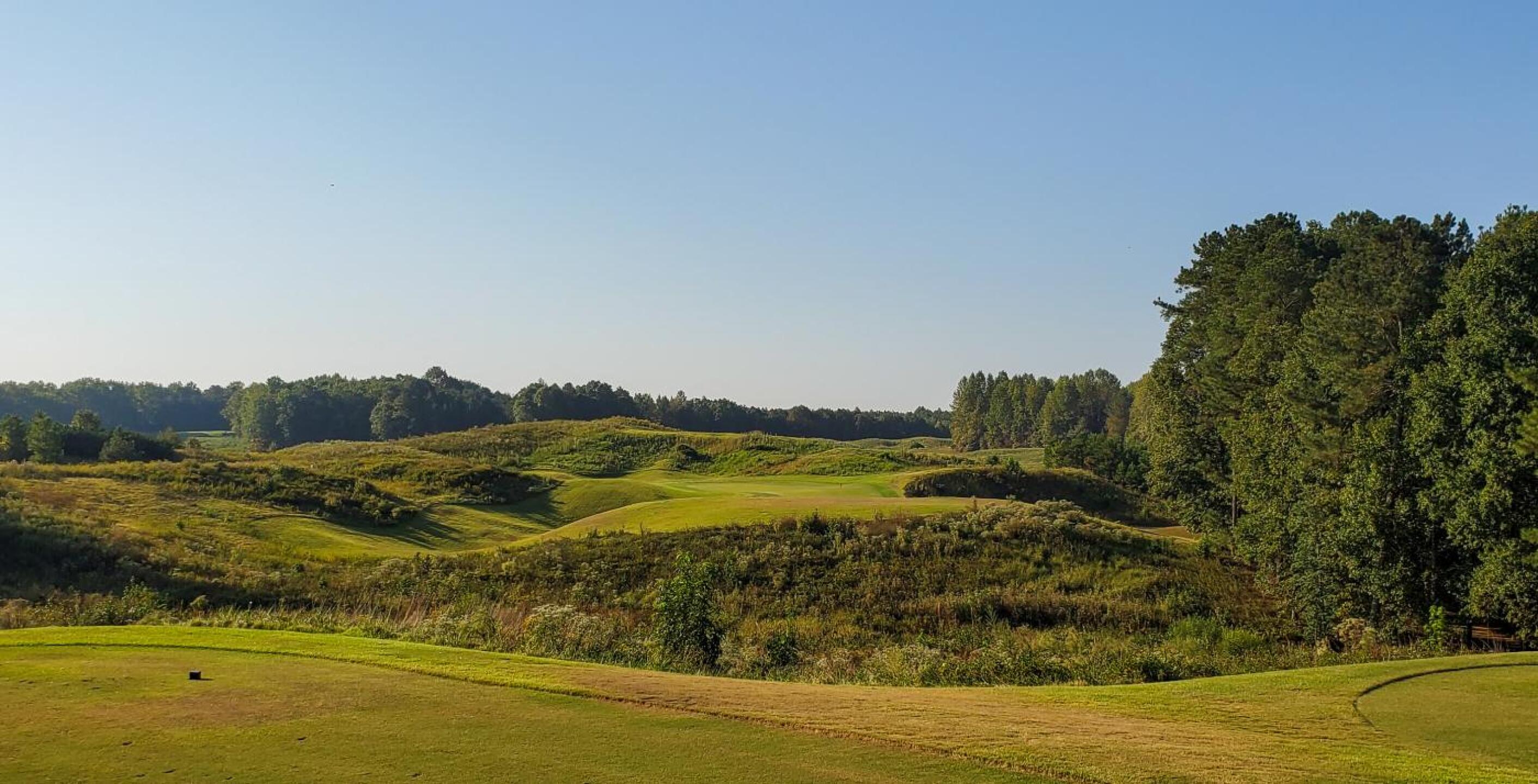 (Photo submitted by cjohnbrown on 10/07/2019)