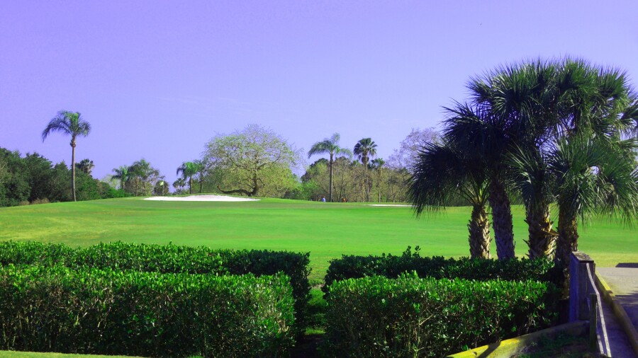 Mangrove Bay Golf Course - No. 16