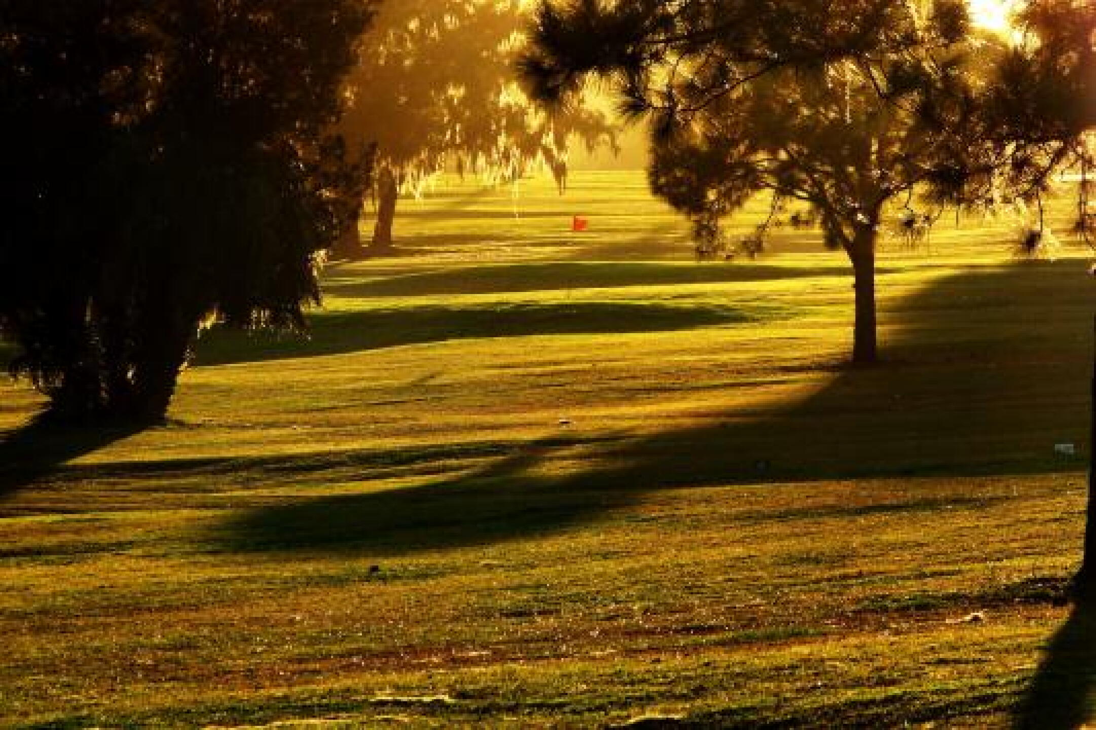 A late afternoon round at Silverado (Photo submitted by u000003657112 on 12/05/2012)